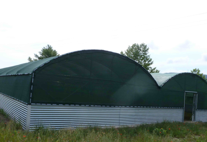 Πωλείται δικτυοκήπιο / θερμοκήπιο 1.260m2